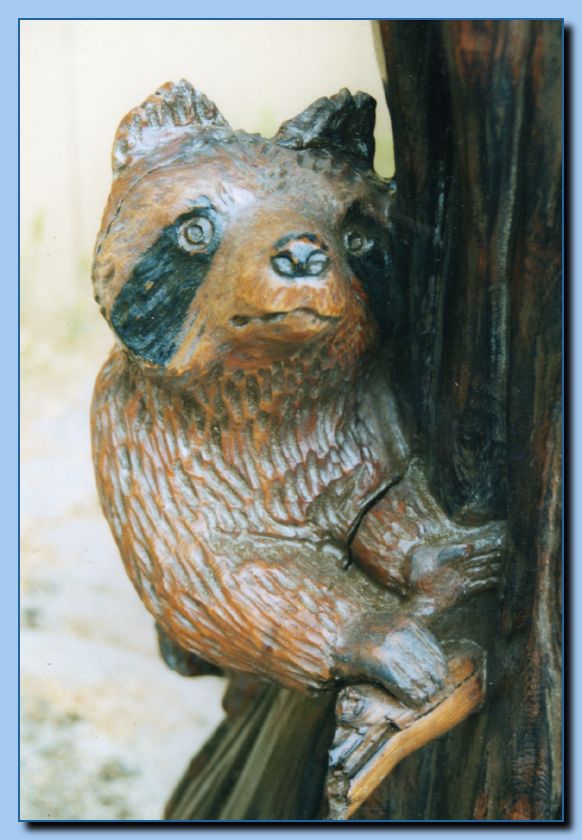 2-29 vertical raccoon collage-archive-0003